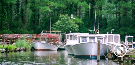 Fishing boats at Wrights Creek Seafood in 2009.